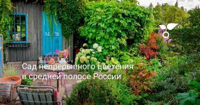 Сад непрерывного цветения в средней полосе России - sadogorod.club - Россия