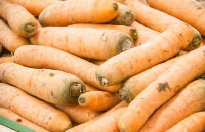 Как улучшить вкус свеклы и моркови: назван простой способ - sadogorod.club