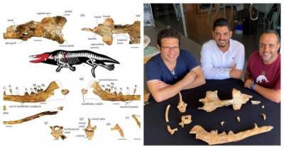 Археологи показали, как выглядел четырёхлапый кит, живший миллионы лет назад - porosenka.net - Египет