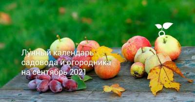 Лунный календарь садовода и огородника на сентябрь 2021 - sadogorod.club