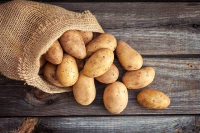 Как сохранить картофель до весны? - sadogorod.club