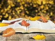 Must-read: 5 книг для затишної осені - cosmo.com.ua