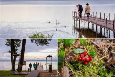 Скоро осень: живописная смена поры года в окрестностях озера Нарочь - porosenka.net