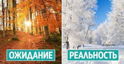 Синоптики серьезно настроены, осень будет беспощадно холодной - takprosto.cc - Россия - Украина - Киев