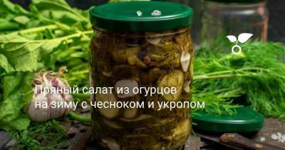 Пряный салат из огурцов на зиму с чесноком и укропом - sadogorod.club