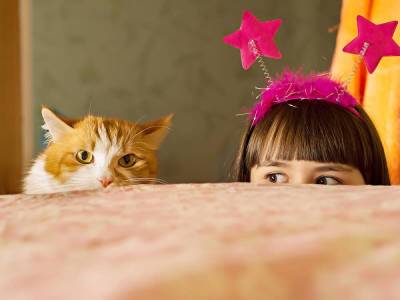Опасности для кошки в квартире: на что обратить внимание? - lifehelper.one