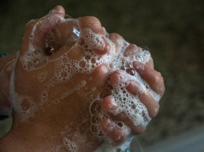Обязательно ли мыть руки перед едой? Об одном несостоявшемся международном скандале - lifehelper.one