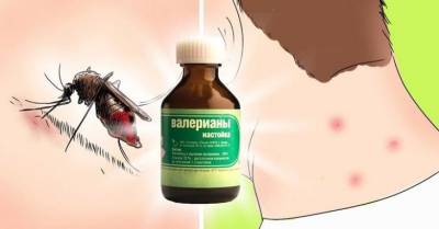 Народное средство от комаров - fokus-vnimaniya.com