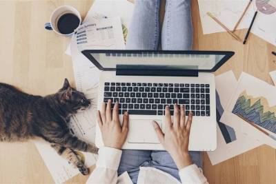 Как создать свой онлайн-бизнес из дома: 11 советов для тех, кто начинает свое дело - lifehelper.one