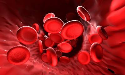 ​Профилактически чистим кровь самыми безопасными способами - polsov.com