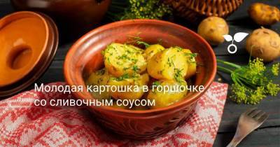 Молодая картошка в горшочке со сливочным соусом - sadogorod.club