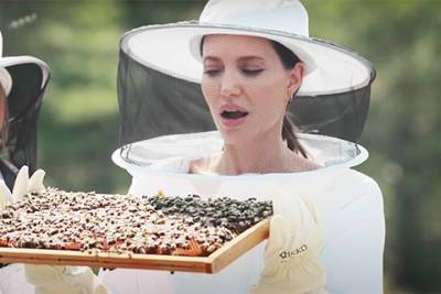Анджелина Джоли - Angelina Jolie - Анджелина Джоли в костюме пасечника бесстрашно помогает спасать пчел в Провансе: видео - spletnik.ru - Россия