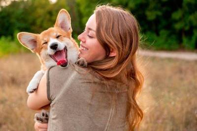5 способов сделать жизнь вашей собаки дольше и счастливее - lifehelper.one