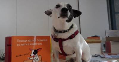 Вийшла з друку перша книга порад від пса Гермеса про свідоме виховання людини - womo.ua