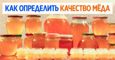 На рынке больше не обманут, знаю, сколько весит мёд в трехлитровой банке - takprosto.cc