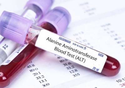 Повышены АЛТ и АСТ в анализе крови: что это значит и серьезно ли это? - lifehelper.one