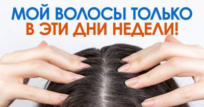 В какие дни недели мыть голову, чтобы насладиться богатством и достатком в жизни - takprosto.cc
