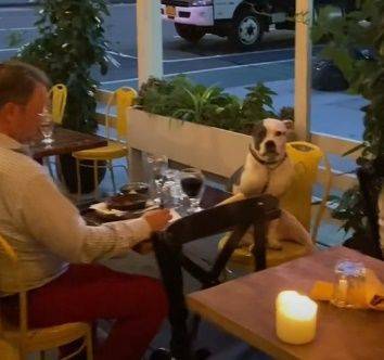 Идеальное свидание: сценка, подсмотренная в ресторане - mur.tv - Нью-Йорк