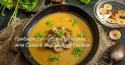 Грибной суп-пюре с опятами, или Самый вкусный суп осени - sadogorod.club