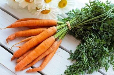 Зачем сажать морковь и лук на одной грядке: секрет знают опытные дачники - sadogorod.club