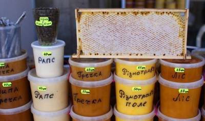 Как определить качество мёда - fokus-vnimaniya.com