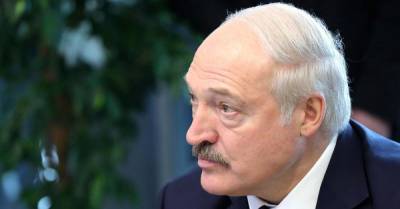 Александр Лукашенко - Россиянка получила 1,5 года колонии за твит о Лукашенко - wmj.ru - Москва - Минск - Белоруссия