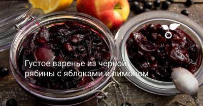 Густое варенье из черной рябины с яблоками и лимоном - sadogorod.club