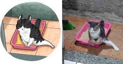 Художник из Индонезии превращает котов из мемов в смешные рисунки, повышая градус веселья и безумия - mur.tv - Индонезия
