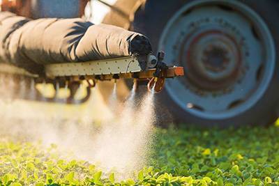 Что такое поддельные пестициды и почему их покупают фермеры - sadogorod.club - Канада - Египет - Саудовская Аравия