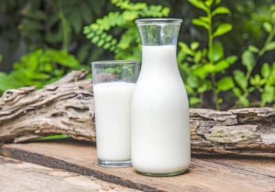 В чем польза молока для здоровья, красоты и приготовления пищи? - lifehelper.one