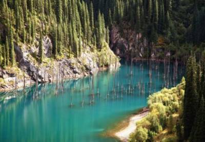 В высокогорье Казахстана прямо в озере растут елки «вверх ногами» — как такое возможно - chert-poberi.ru - Казахстан