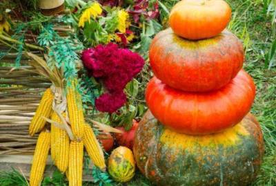 Надо знать: самые-самые важные дела в октябре в саду, огороде и цветнике - sadogorod.club