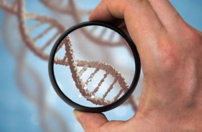 До чего генетика дошла! Что о вас может рассказать ДНК-тест? - porosenka.net - Белоруссия