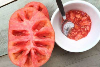 Как собрать и сохранить до следующего года семена томатов - sadogorod.club