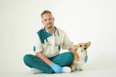 Топ вредных советов при посещении ветеринарного врача - lifehelper.one