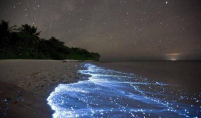 12 фантастических мест планеты, от которых так и веет волшебством - fokus-vnimaniya.com - Франция - Мальдивы