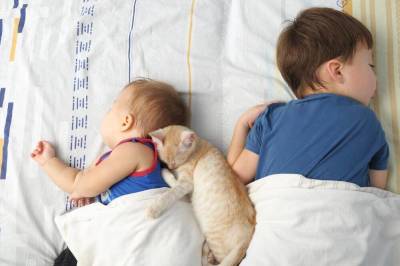 Русские народные колыбельные: какие животные навещали малышей перед сном? - lifehelper.one