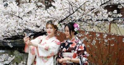 Почему цветущая сакура стала для японцев сакральным деревом - chert-poberi.ru - Китай - Япония