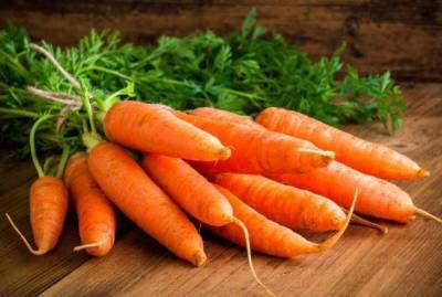 Какие сорта моркови можно посеять под зиму - sadogorod.club
