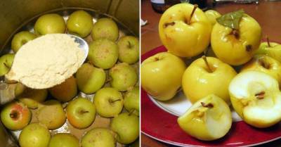 Пора квасить: надежный рецепт для заготовки яблок на зиму - lifehelper.one