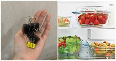 5 лайфхаков, как поддерживать идеальную чистоту и порядок внутри холодильника - lifehelper.one