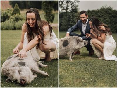 Пара устроила свадебную фотосессию с необычным питомцем – свинкой - mur.tv - Голландия