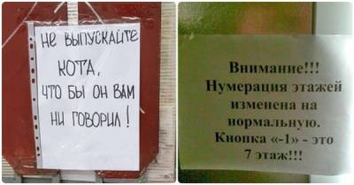 Смешные и неоднозначные объявления из России, от которых по телу побегут мурашки - porosenka.net - Россия
