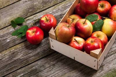Как хранить свежие яблоки? - lifehelper.one