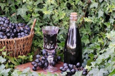 Домашнее вино из винограда: 14 простых рецептов с фото - sadogorod.club - Виноград