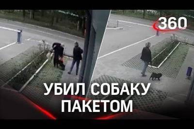 В Башкирии мужчина содержимым пакета убил напавшую на него собаку - porosenka.net - республика Башкирия