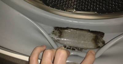Скверная хозяйка призналась, что не в силах вывести плесень из стиральной машины - takprosto.cc