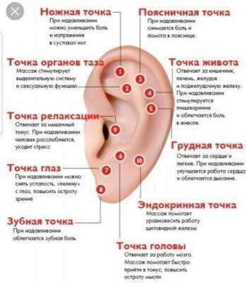 Точки на ушах, которые помогут снять боль и быть здоровым - lifehelper.one