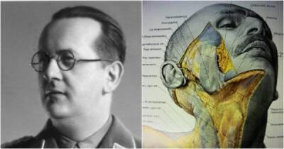 Адольф Гитлер - Атлас Пернкопфа: нацистская книга по анатомии, которой до сих пор пользуются хирурги - porosenka.net - Вена