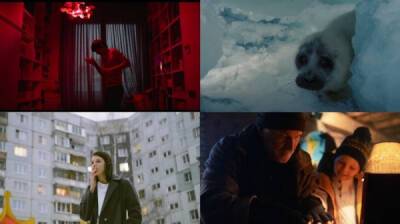 От артхауса до документалок: отечественные фильмы 2021 года, оставшиеся незамеченными - porosenka.net